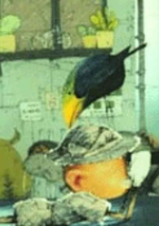 Enkinhou no Hako: Hakase no Sagashimono