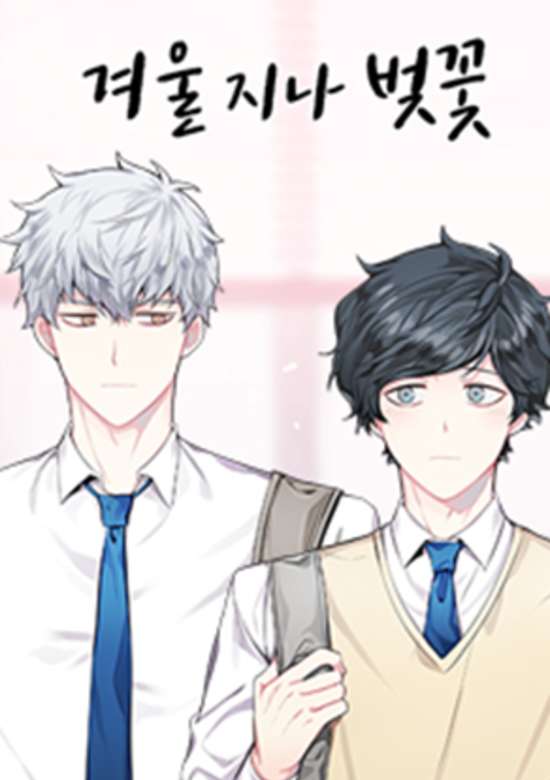 Cherry Blossoms After Winter