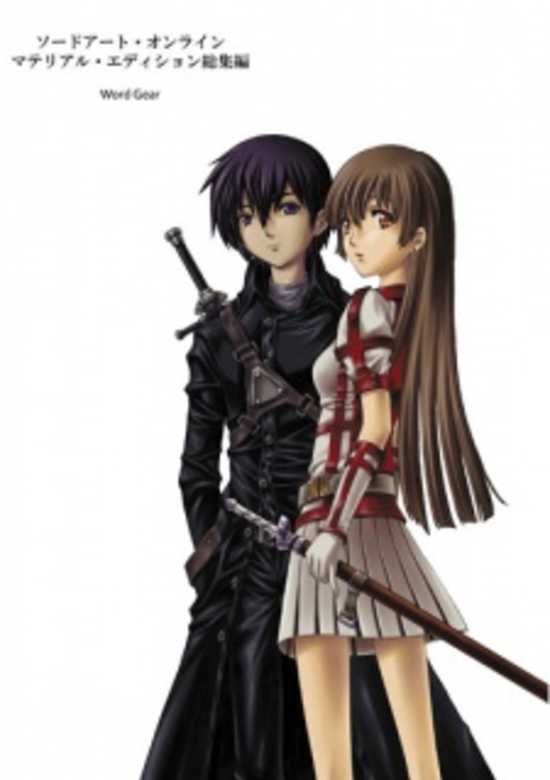 Sword Art Online: Material Edition